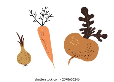 Beets, turnips, carrots, onions. Roots. Vegetables - simple doodle drawing. Vector modern art illustration isolated on white background.