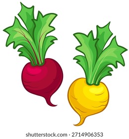 Beterraba e nabos em estilo cartoon. Ilustração vetorial de nabos e beterrabas.