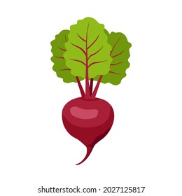 Beets vector illustration of beets with green leaves. Bright red beets, healthy vegetable, vitamins, beet juice. Icon for a game or app about nutrition. Vector flat illustration, cartoon style.