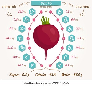 Beets vector infographics. The content of minerals and vitamins in fresh beetroot. Illustration about nutrients, vegetables, health food, diet. Flat style.