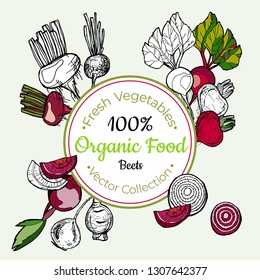 Beets vegetable groceries vintage vector sticker, poster, label template. Hipster fresh food line hand drawn illustration. Sweet beet red purple isolated vegetables, vegetarian poster, restaurant menu