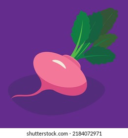 Beets, vegetables from the farm