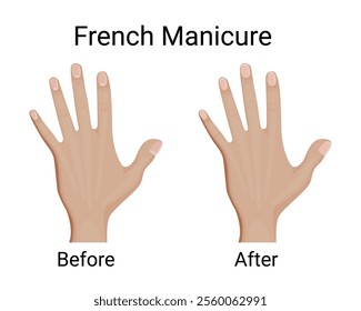 Before and after French manicure vector illustration design