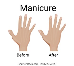 Before and after manicure vector illustration design.