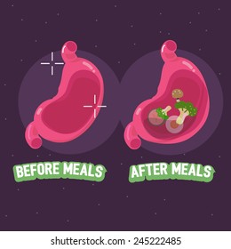 before and after meal of stomach. how to take pills concept - vector illustration