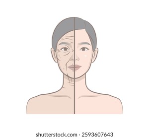 Before and after of Northeast Asian woman's skin aging process showing wrinkles. Young and old female. Portrait of cosmetic female model.
