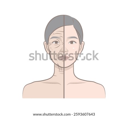 Before and after of Northeast Asian woman's skin aging process showing wrinkles. Young and old female. Portrait of cosmetic female model.