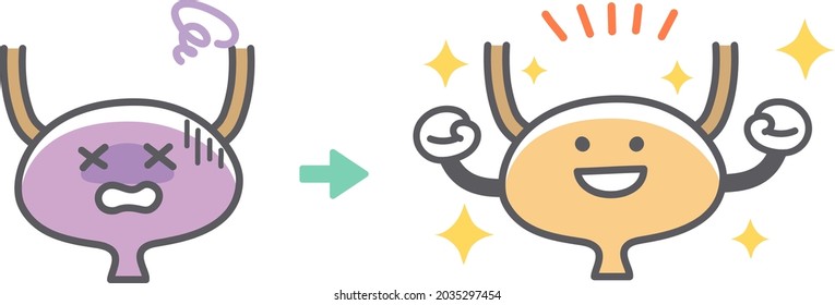 Before after recovering from human bladder disease