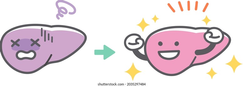 Before after recovering from human liver disease