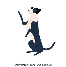 Mendigar perro con una pata levantada y el cuerpo estirado. Pie de comida para mascotas con patas traseras. Un gesto conmovedor de lenguaje animal. Ilustración vectorial plana coloreada aislada en fondo blanco