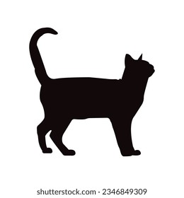 Begin by sketching a simple outline of a cat. Focus on the basic shapes that make up a cat's body, head, ears, and tail.

Refine the Outline: Once you're satisfied with the basic shape, refine the out