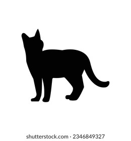 Begin by sketching a simple outline of a cat. Focus on the basic shapes that make up a cat's body, head, ears, and tail.

Refine the Outline: Once you're satisfied with the basic shape, refine the out