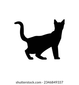 Begin by sketching a simple outline of a cat. Focus on the basic shapes that make up a cat's body, head, ears, and tail.

Refine the Outline: Once you're satisfied with the basic shape, refine the out