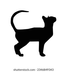 Begin by sketching a simple outline of a cat. Focus on the basic shapes that make up a cat's body, head, ears, and tail.

Refine the Outline: Once you're satisfied with the basic shape, refine the out