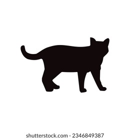 Comenzar esbozando un simple contorno de un gato. Concéntrate en las formas básicas que componen el cuerpo, la cabeza, las orejas y la cola de un gato.

Refinar el esquema: Una vez satisfecho con la forma básica, refinar el