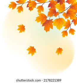 Beginning of autumn festival, autumn maple leaves fall down, vector illustration