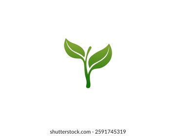 the beginning of green seeding on a white background 