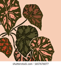 Begonia bowerae leaves in a minimalist trendy style. Silhouette of a plant in a contemporary abstract style. Vector illustration collage. For t-Shirt Print, card, poster, social media post