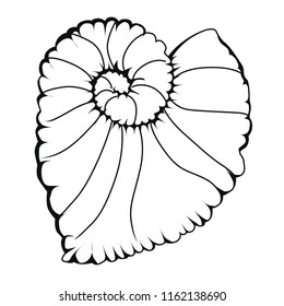 Begonia  Escargo. Coloring book. Stock illustration. Isolated image on white background. 