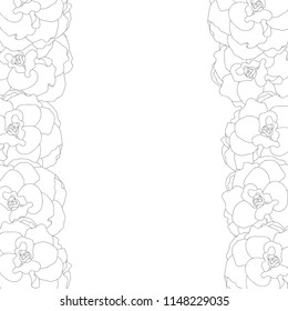 Begonia Flower, Picotee Outline Border. Vector Illustration.