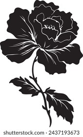 Begonia Flower Silhouette Vector Illustration White Background