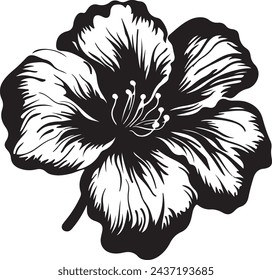 Begonia Flower Silhouette Vector Illustration White Background