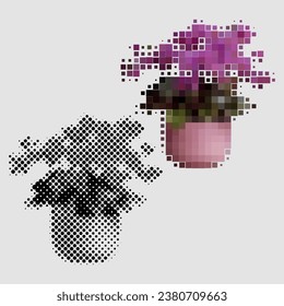 Begonia houseplant flower growing in pot for home interior decoration. Room plant with green petals. Begonia homeplant made of colored and black and white dots of different sizes. Violet, platycodon