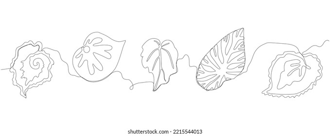 Begonia Leaves. Art Line Ecology Print. Sketch Nature Border. Simple Leaves Border