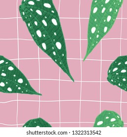 Begonia maculata wightii and tile texture. Hand-drawn vector seamless pattern with unusual indoor plant for your modern design. 