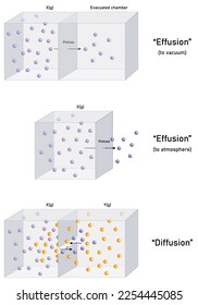 behaviour of gas particles: effusion vs. diffusion