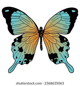 Behold the mesmerizing beauty of this orange and blue butterfly design. With intricate patterns and vibrant colors, this artwork captures the essence of nature's elegance.