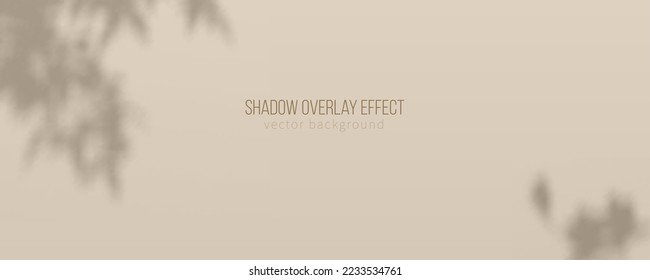 Beige background for product display. Shadow of plants on background. Vector illustration.