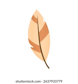 Beige bird feather. Feather with bright colors.