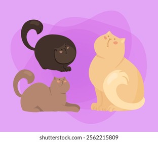 Beige and brown cat characters vector illustrations set. Collection of cartoon drawings of cute comic kittens sitting or lying on abstract background. Pets or domestic animals concept