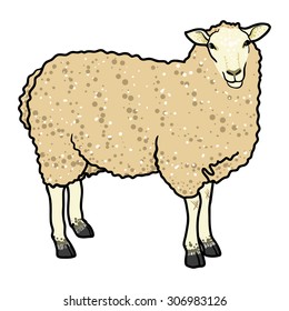 beige cartoon sheep isolated on white background
