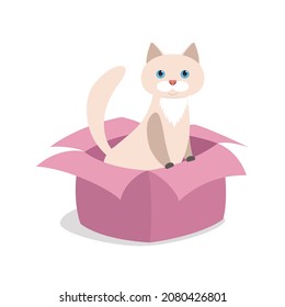 Beige Katze sieht als Geschenk-Vektorgrafik aus dem Kasten aus