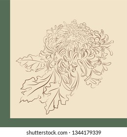 Beige chrysanthemum flower in green frame.
