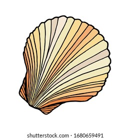 Beige colored seashell. Hand drawn vector illustration of underwater scallop shell. Nautical element isolated on white background for cards, logo, decoration, print