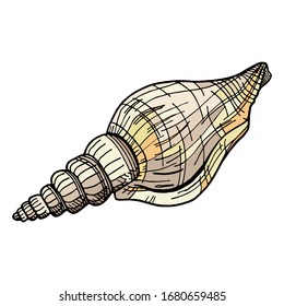 Espiral de color beige. Ilustración vectorial dibujada a mano de la concha submarina. Elemento náutico aislado en fondo blanco para tarjetas, logotipo, decoración, impresión