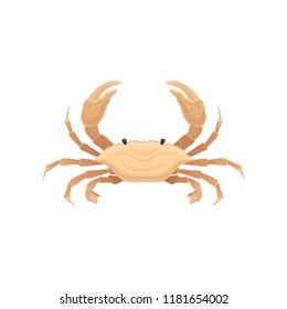 Beige crab with five pairs of legs. Sea creature with big claws. Marine animal. Flat vector for restaurant menu or promo flyer