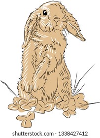 beige cute bunny