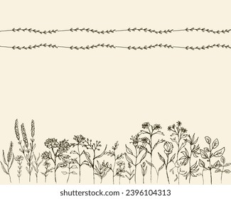 Beige floral border on light background. Wild grass and flowers field, border sketch hand drawn in doodle style. Flowers vector illustration.