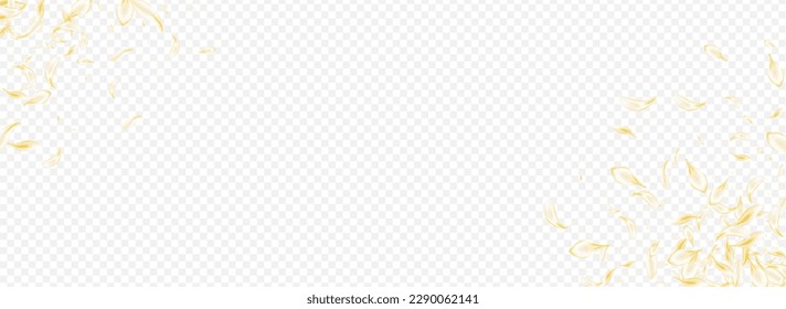 Beige Floral Japan Vector Panoramic Transparent Background. Yellow Tender Sakura Banner. Delicate Cherry Falling Pattern. Light Blossom Spring Backdrop. Summer Rose Illustration.