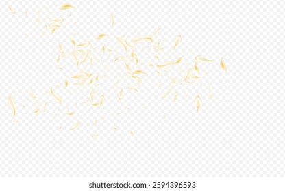 Beige Floral Summer Vector Transparent Background. Delicate Blur Lotus Illustration. Light Sakura Fall Wallpaper. White Blossom Spring Frame. Falling Flower Poster.