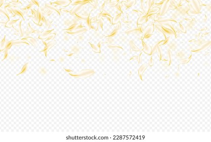 Beige Flower Fall Vector Transparent Background. Light Blur Petal Poster. Delicate Floral Beauty Wallpaper. Gold Sakura Flying Backdrop. Tender Rose Design.
