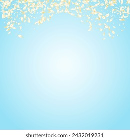 Beige Flower Tender Vector Blue Background. Light Blur Blossom Design. Yellow Cherry Japan Frame. White Petal Flying Template. Fly Lotus Illustration.