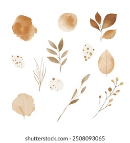 Beige Foliage Autumn watercolor elements, leaves, floral brushes textures, neutral boho