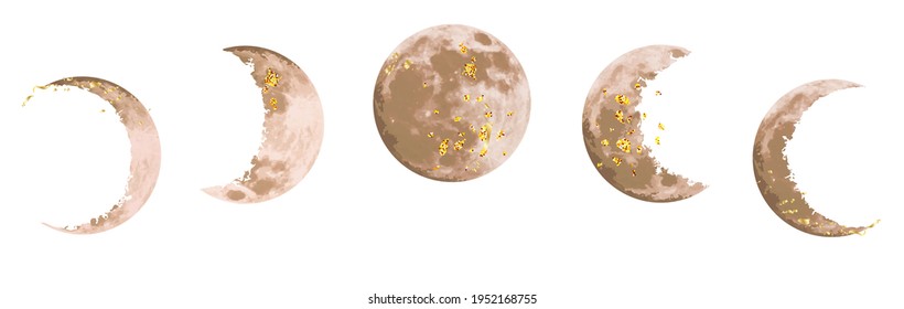 Beige and gold moon phases vector design set. Round shaped celestial collection. Brown and golden colors. Fairytale magic watercolor style objects. Science set. All elements are isolated and editable