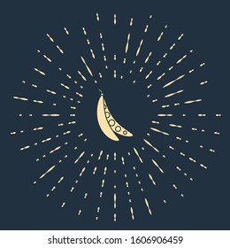 Beige Kidney beans icon isolated on blue background. Abstract circle random dots. Vector Illustration