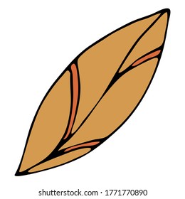 hoja beige con venas, elemento vector estilo doodle, contorno negro